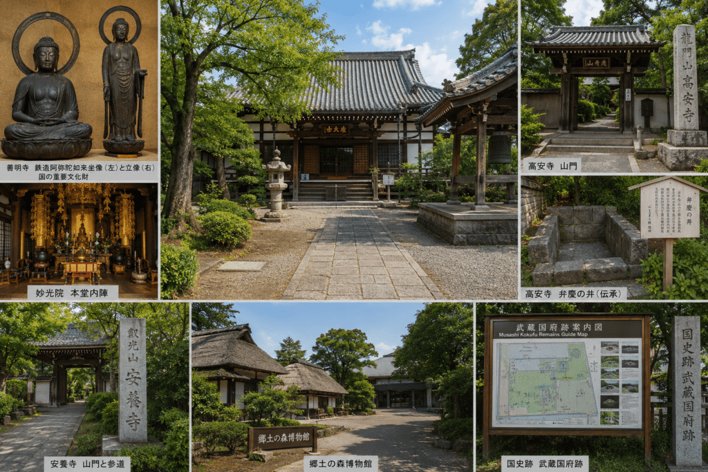 府中市の寺院でたどる祈りと地域の歴史